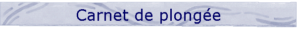 Carnet de plonge