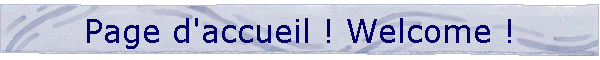 Page d'accueil ! Welcome !